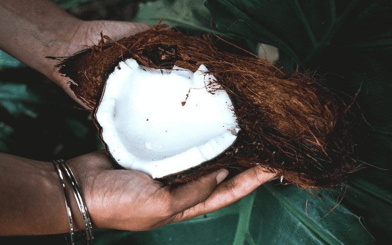 mascarilla capilar coco and eve no testada en animales